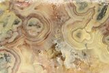 Free-Standing, Polished, Crazy Lace Agate Section - Australia #239770-1